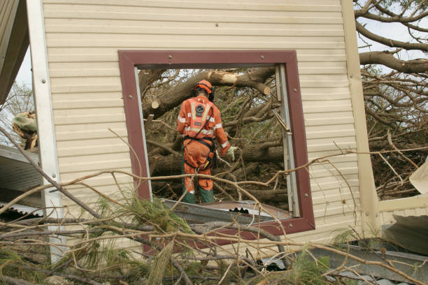 How Our Tree Care Process Works  in  Ozark, AL